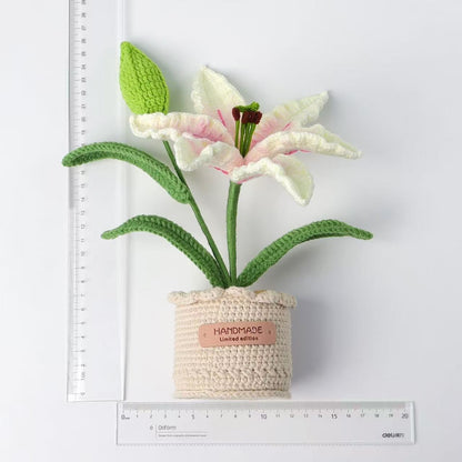 Handmade Crochet Pink-White Lily Pot