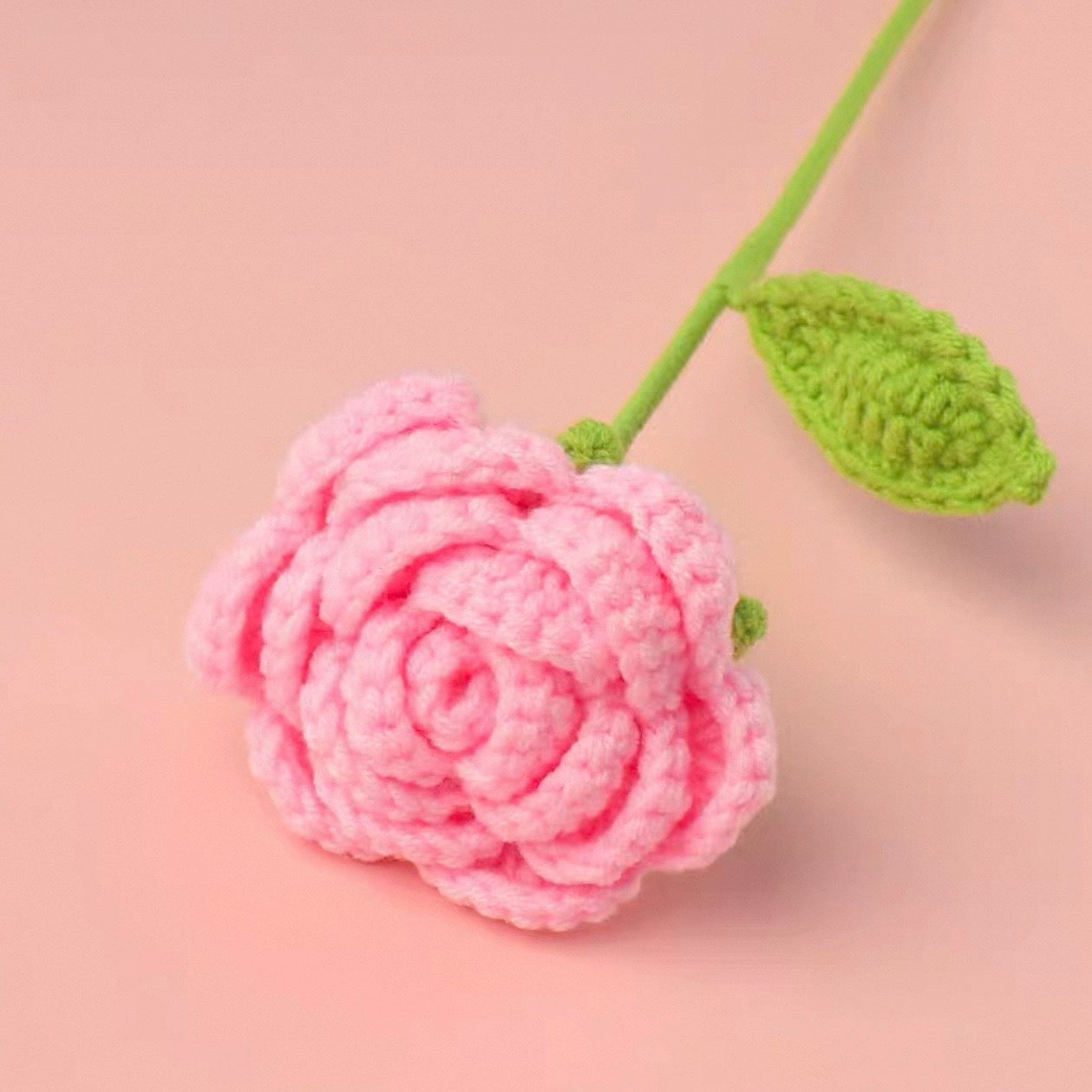 Ombré Roses